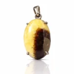Septeryan Taşı Gümüş Kolye (Bolluk Bereket Para Taşı)