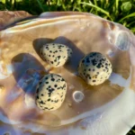 Dalmaçya Jasper Taşı Tımbıl (Ham Taş)