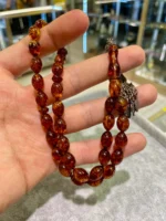 Baltık kehribarı – Su fosili