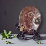 Nautilus Tabak