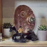 Nautilus Tabak - Görsel 2